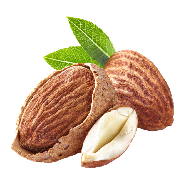 vecteezy_photo almonds isolated_34916277 1